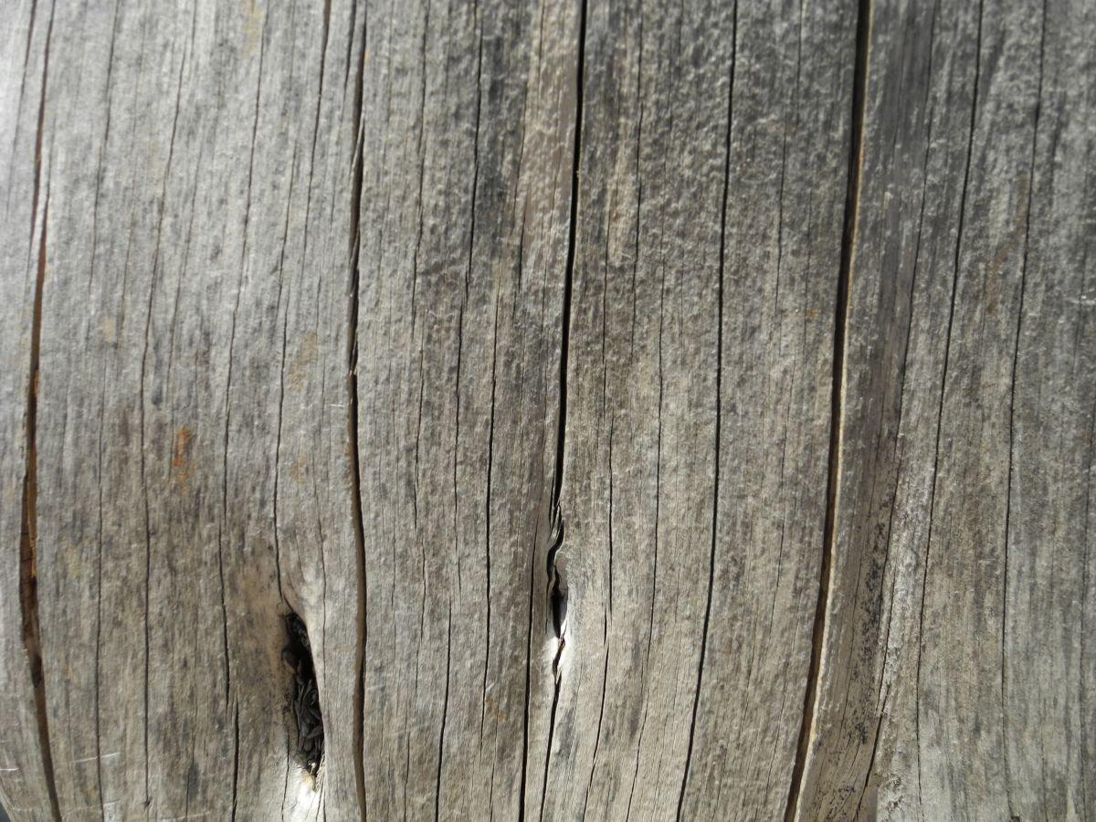 Wooden wall (Sardinia)