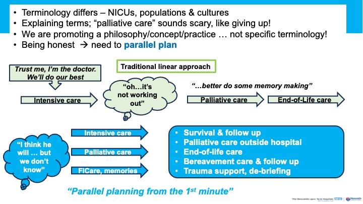 Palliative Butterfly LAL DRC July 2026.jpg